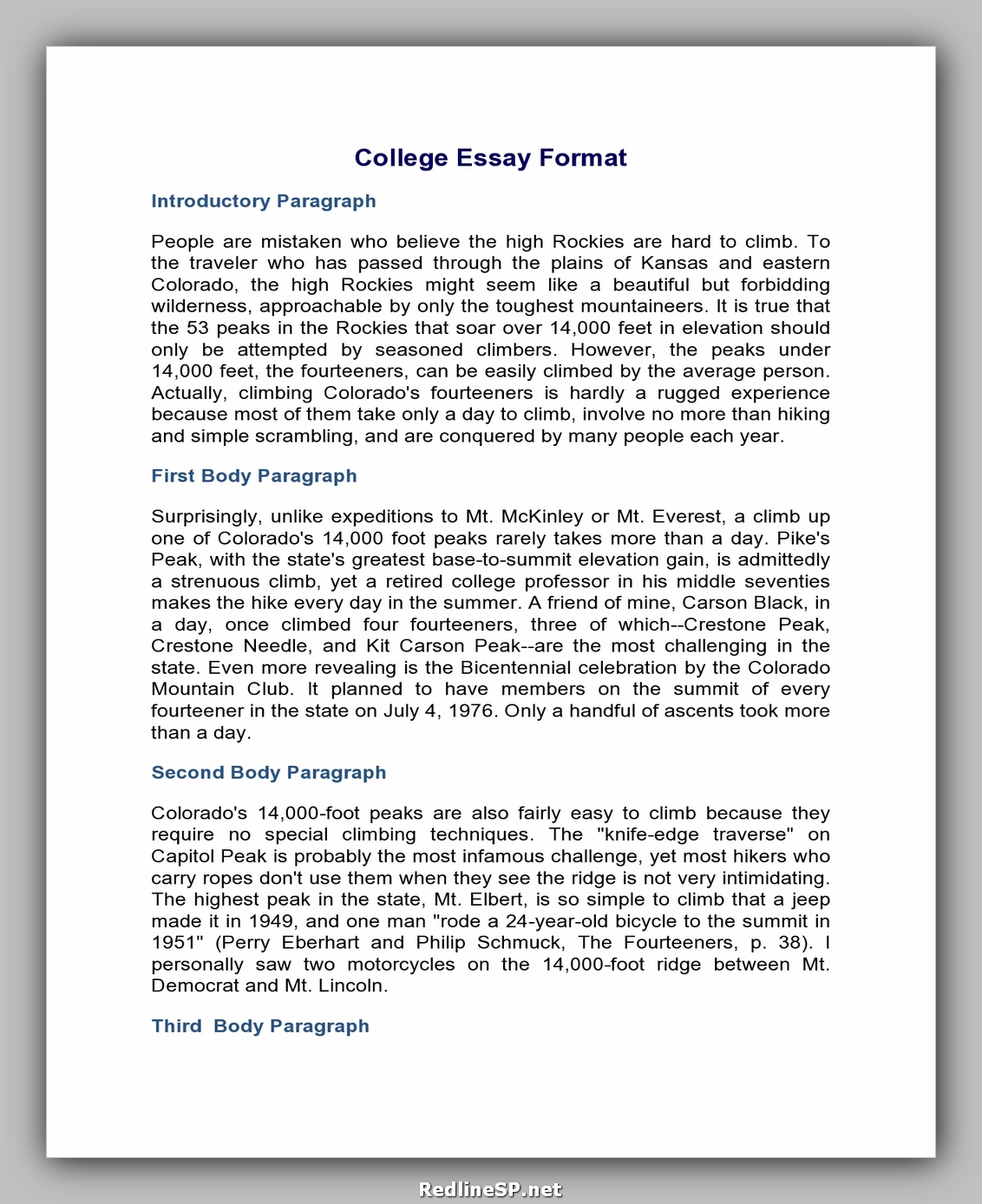 basic college essay examples