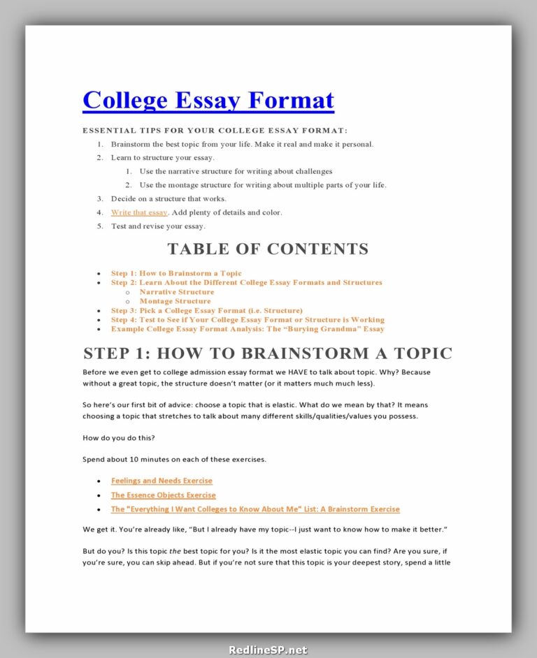 24-greatest-college-essay-examples-redlinesp