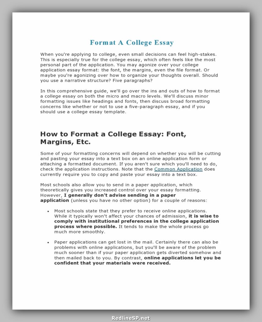 examples of essays university