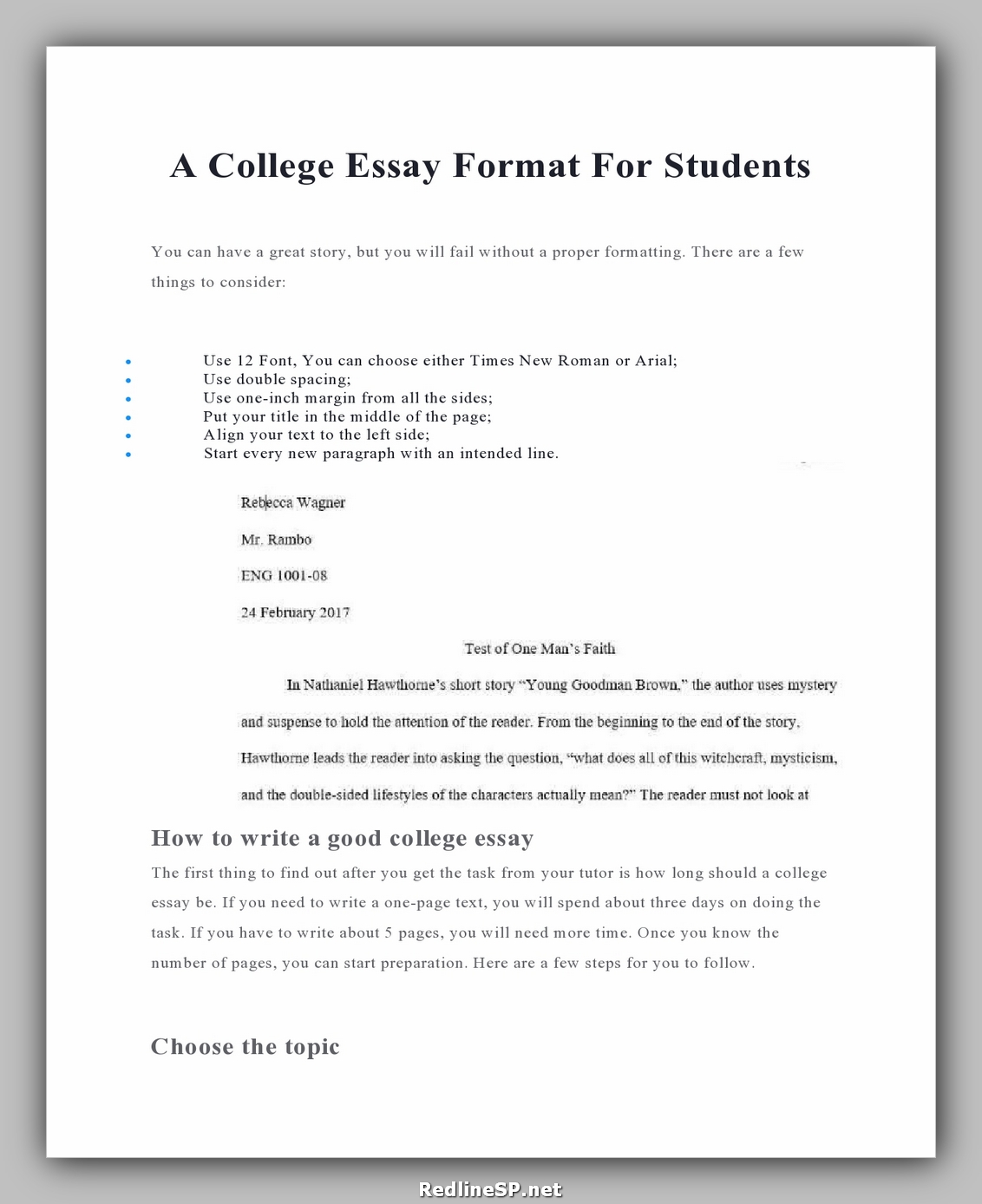 greatest college essay ever
