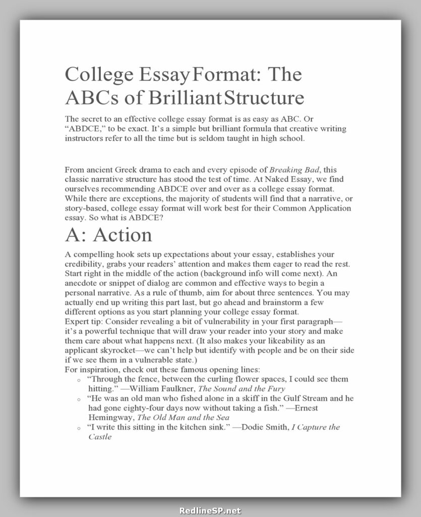 24 Greatest College Essay Examples – RedlineSP