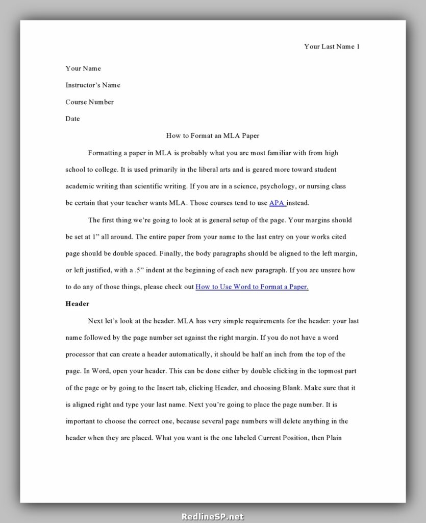 College Essay Examples 28