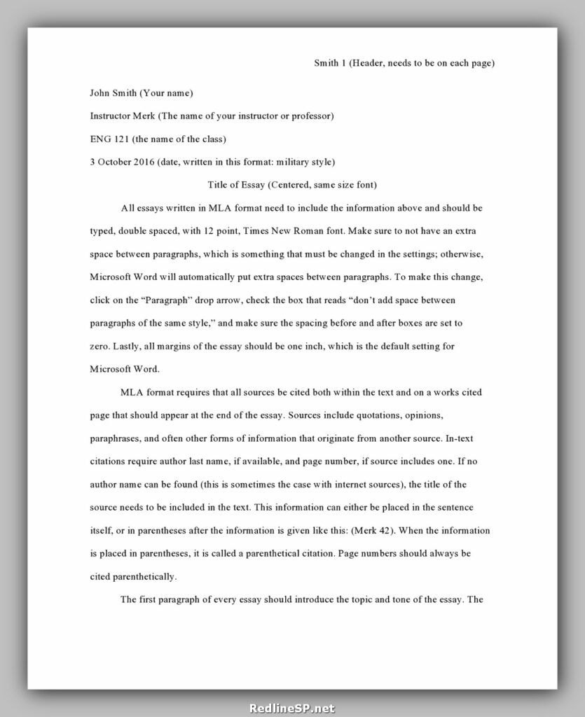 College Essay Template 01