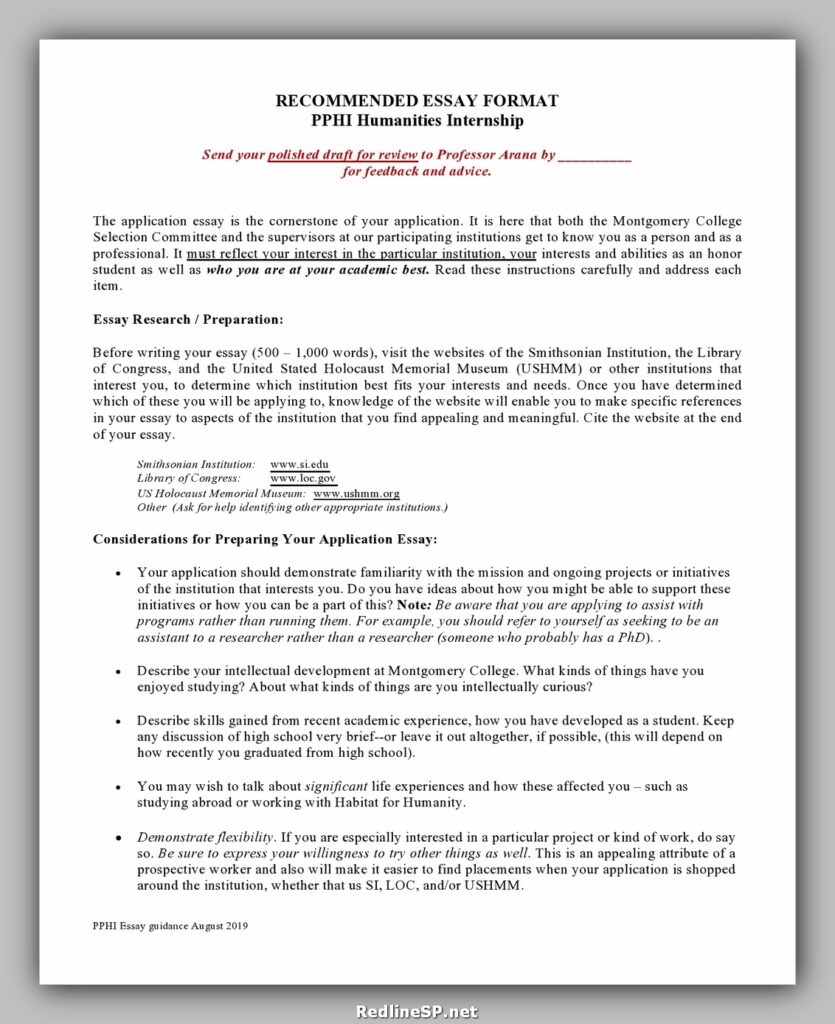 College Essay Template 03