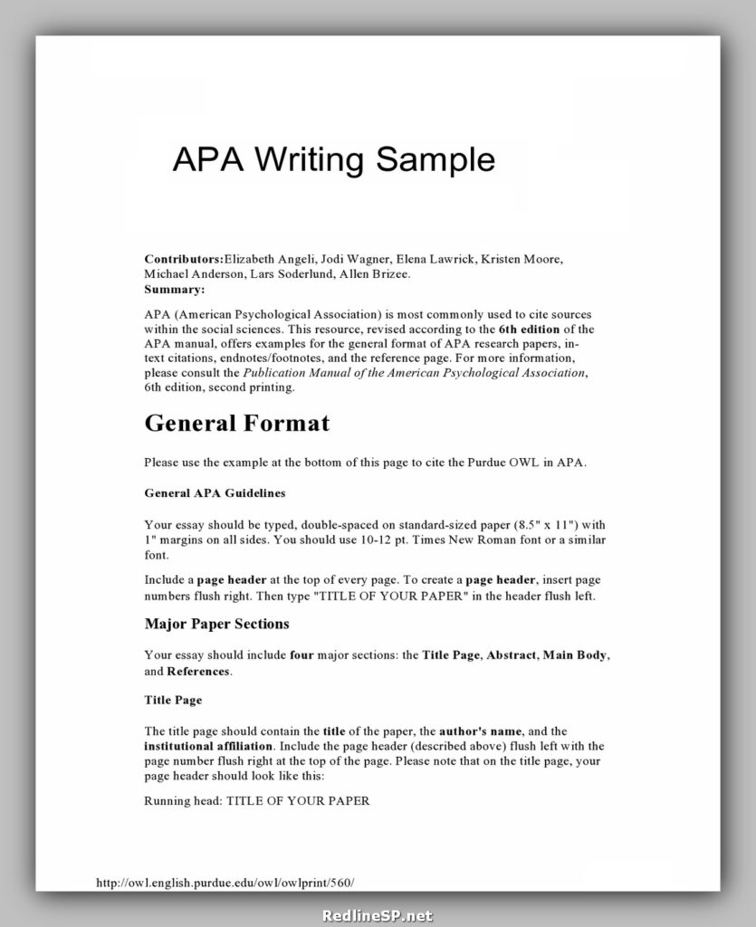 College Essay Template 05