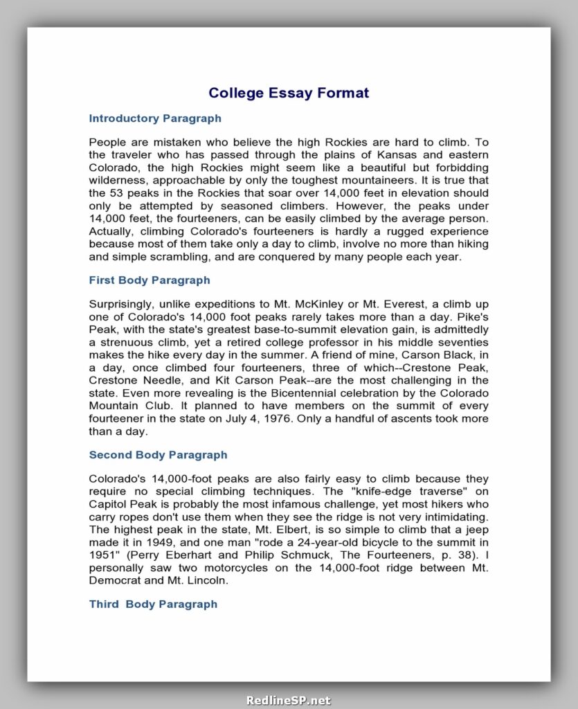 College Essay Template 08