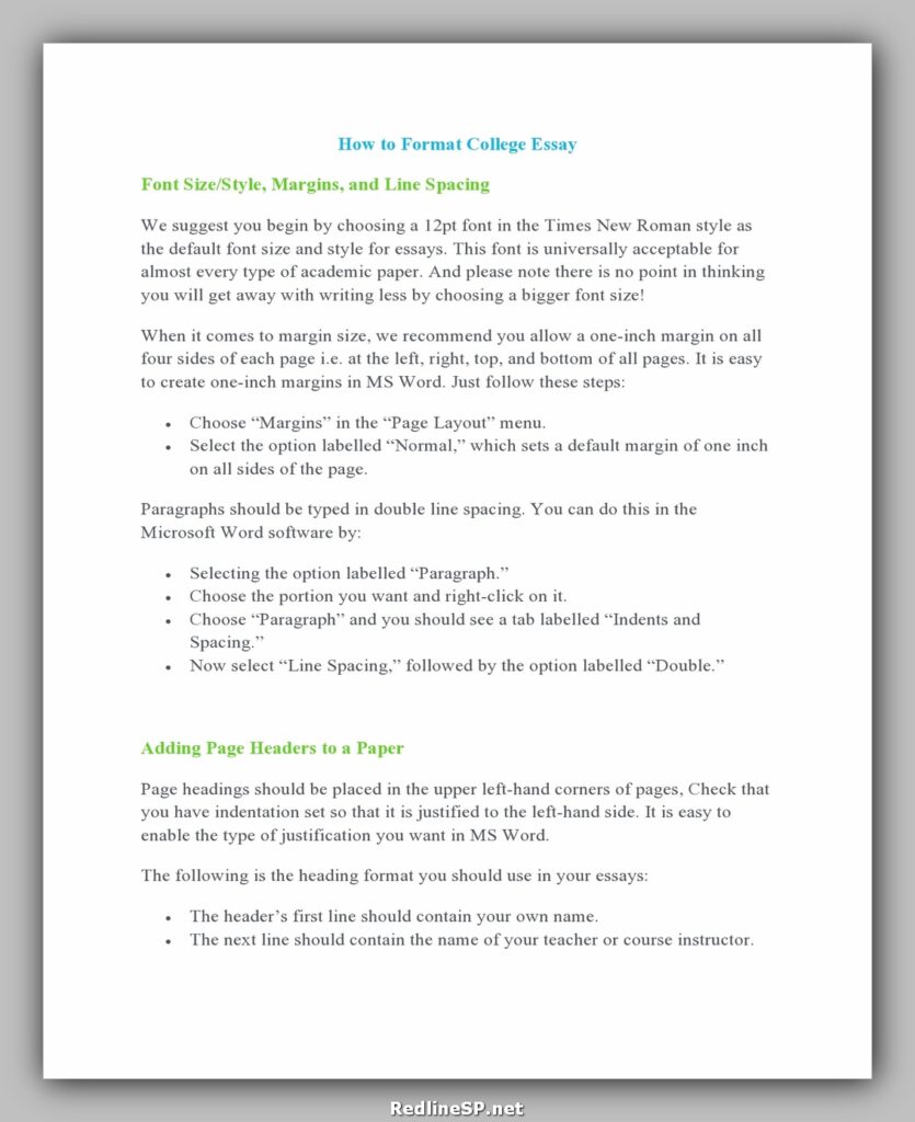 College Essay Template 09