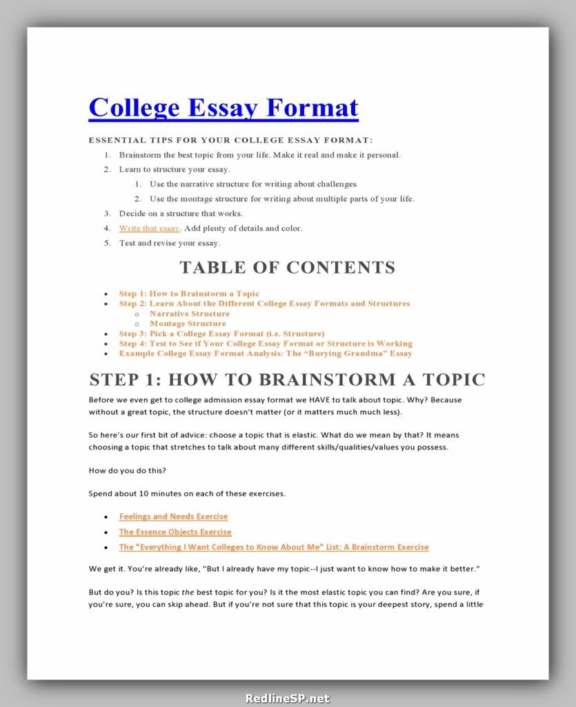 College Essay Template 10