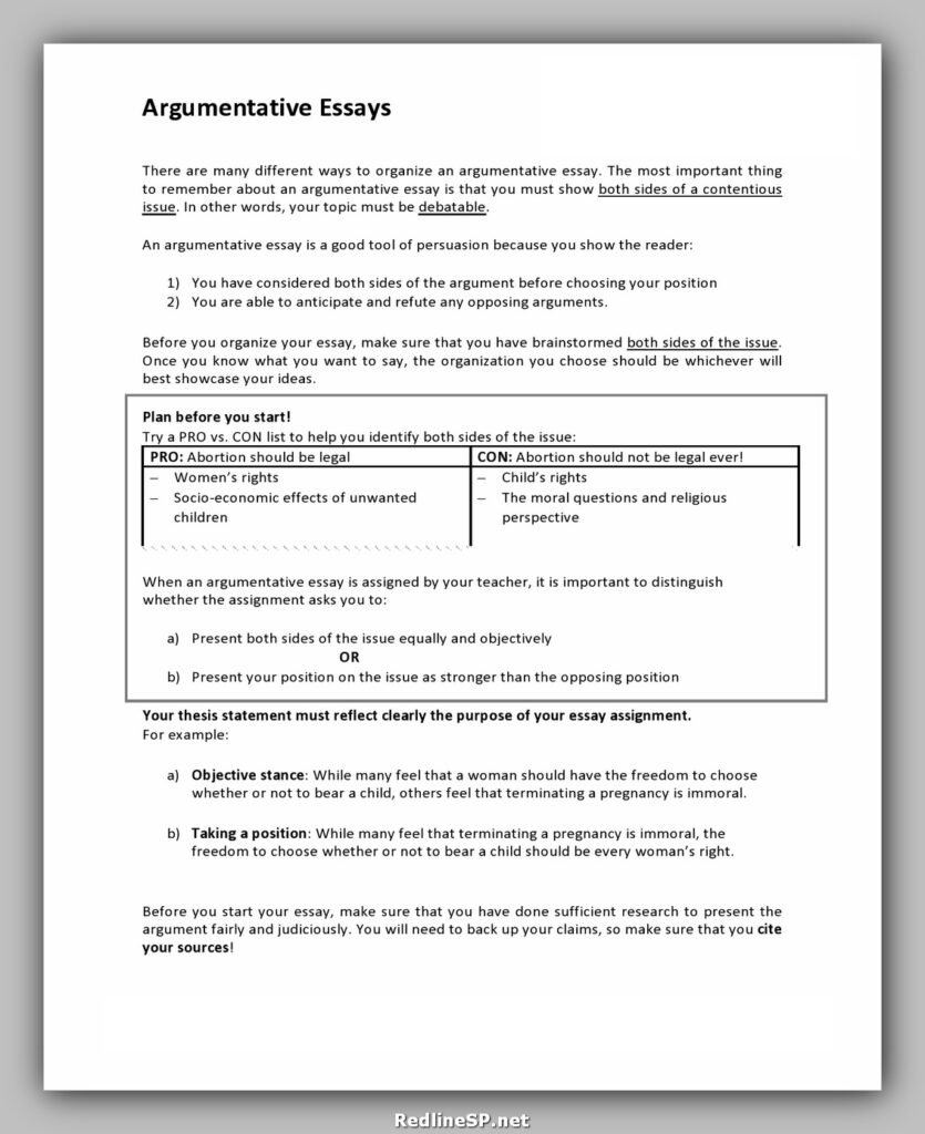 College Essay Template 13