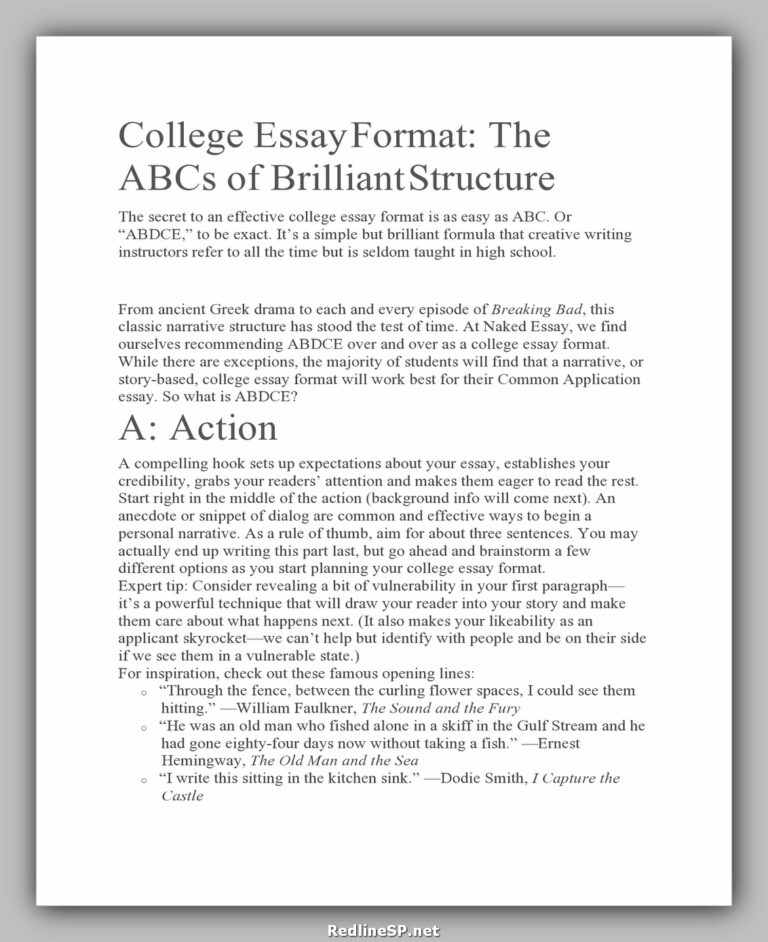 essay format examples for college