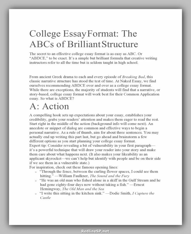 model un college essay