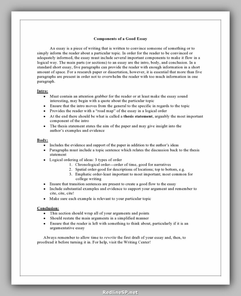 College Essay Template 15