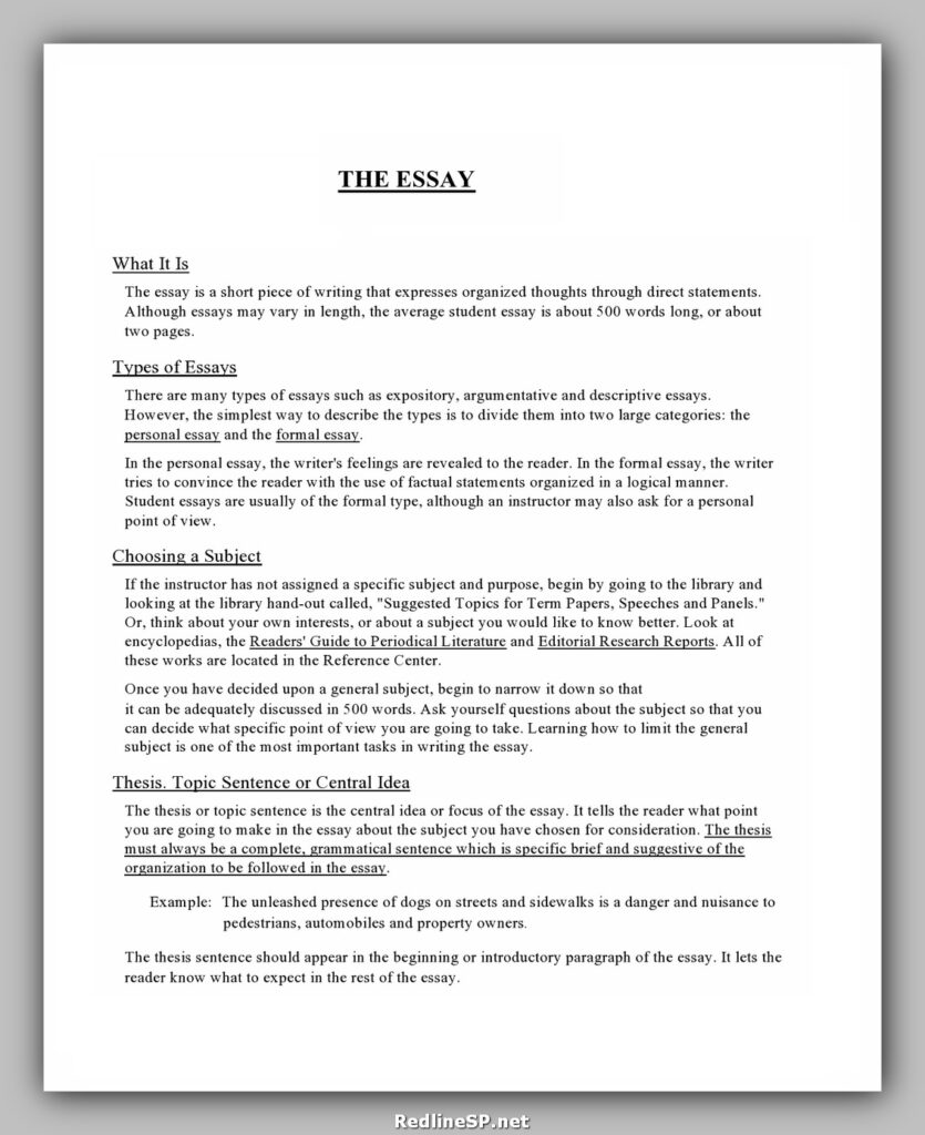 College Essay Template 16