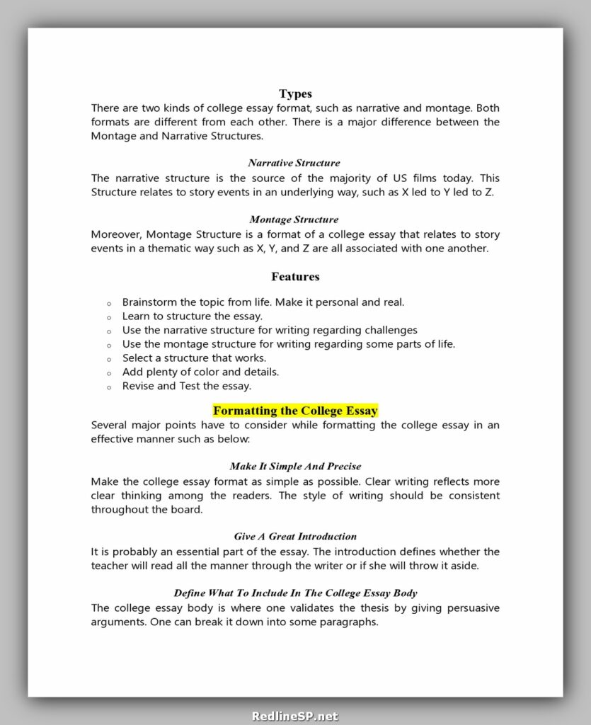 College Essay Template 17