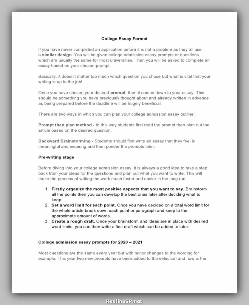 College Essay Template 18