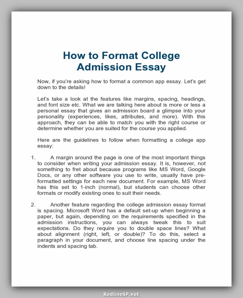 College Essay Template 24