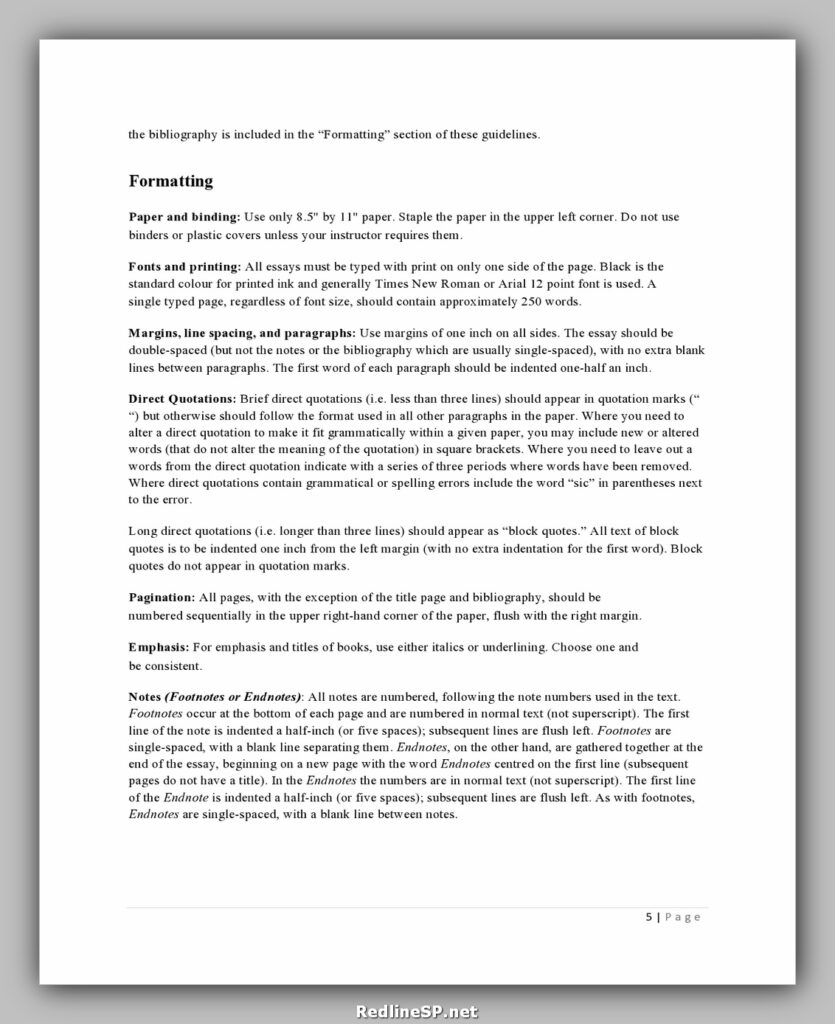 College Essay Template 25