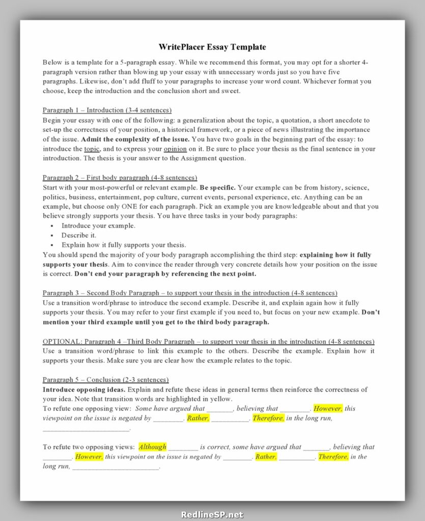 College Essay Template 27