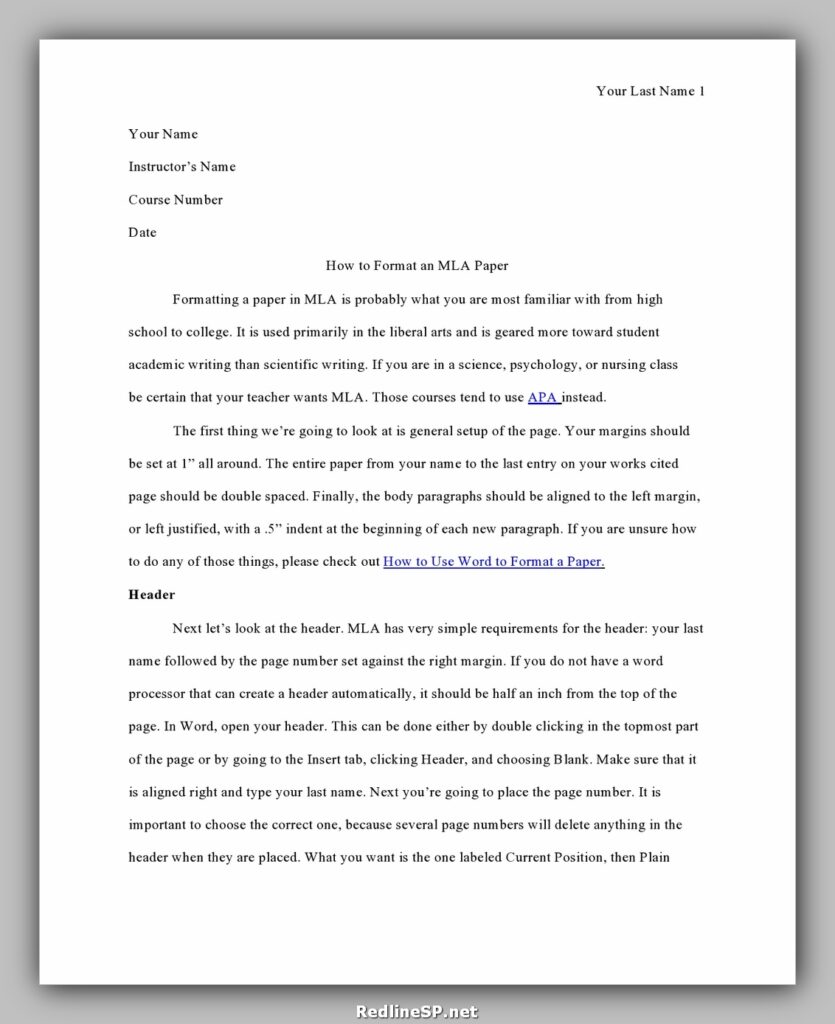 College Essay Template 28