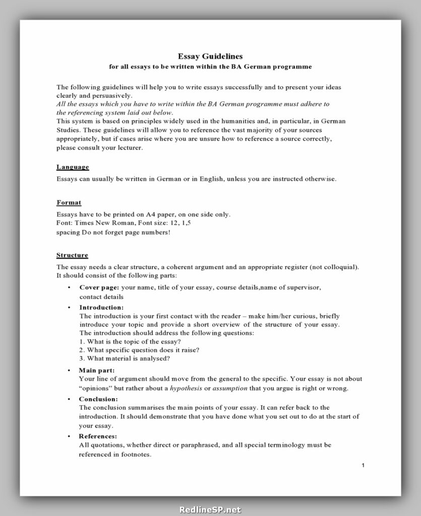 College Essay Template 31