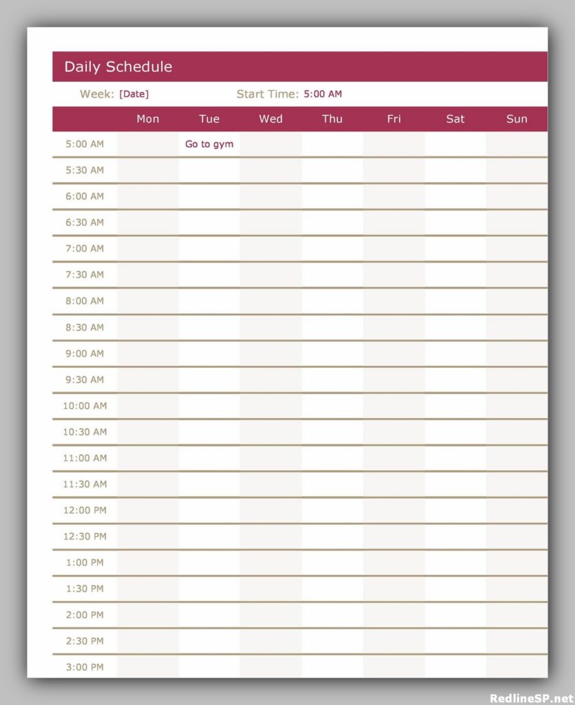 Printable Daily Schedule Template Free