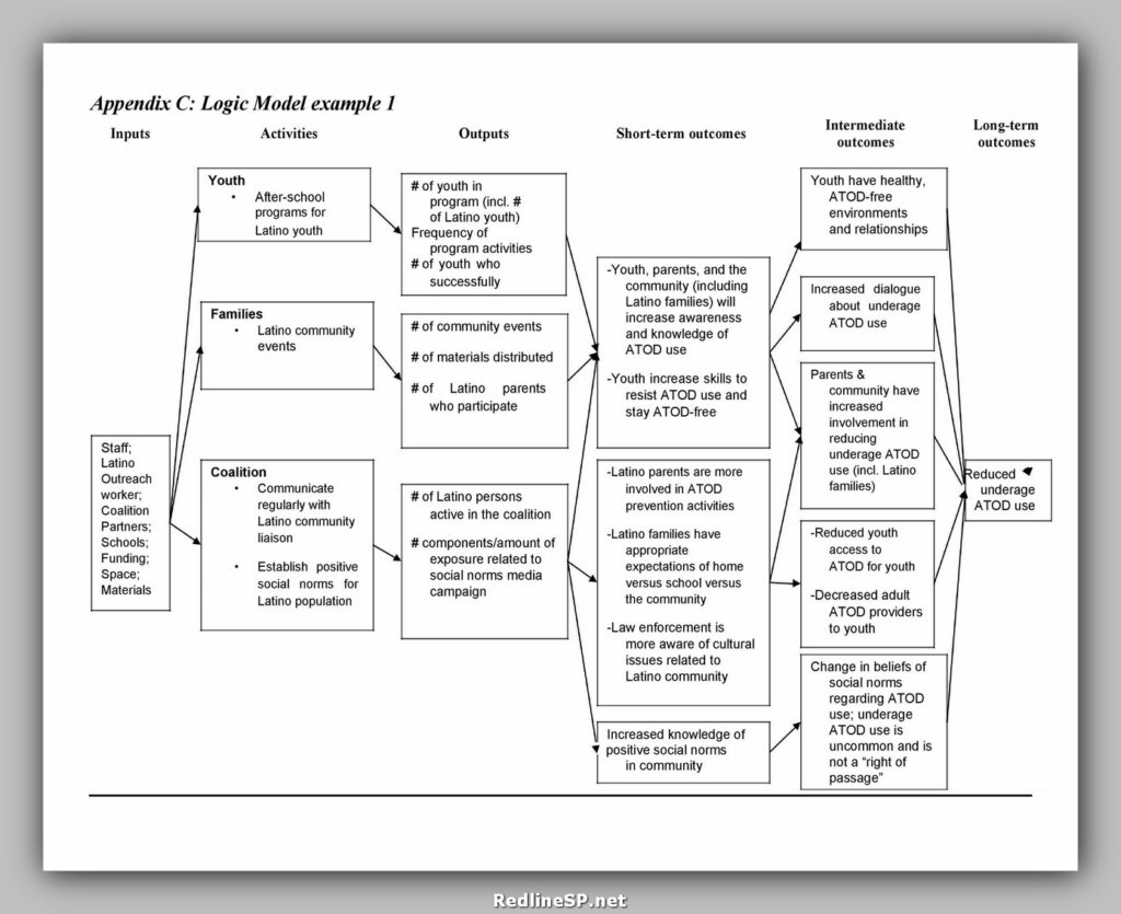 Logic Model Template 14