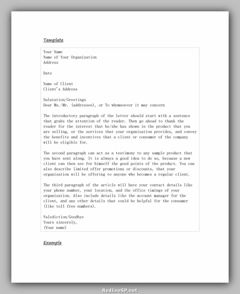 Sales Letter 12