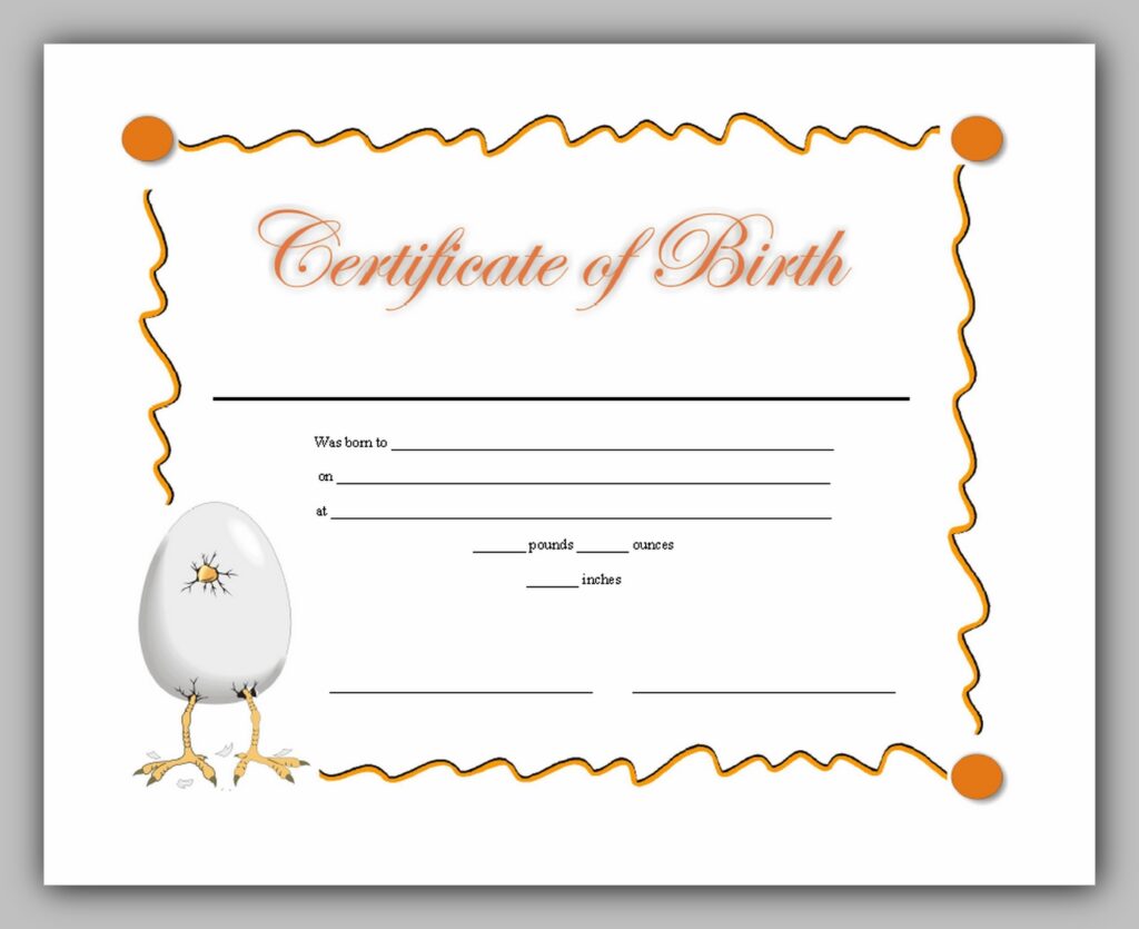 Birth Certificate Template 04