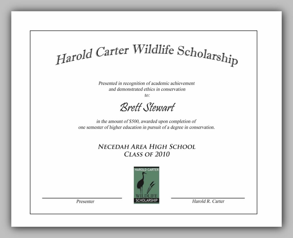 award certificate template 12 award certificate template 12