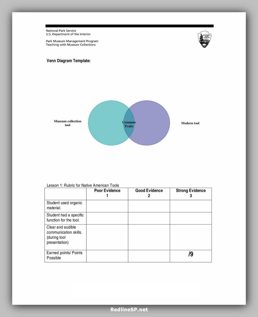 Modern Venn Diagram Template