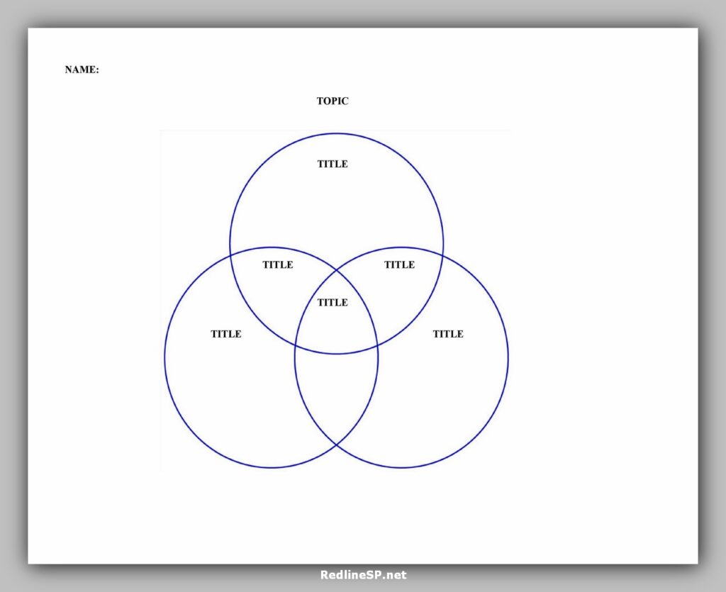 Venn Diagram Character Template PDF