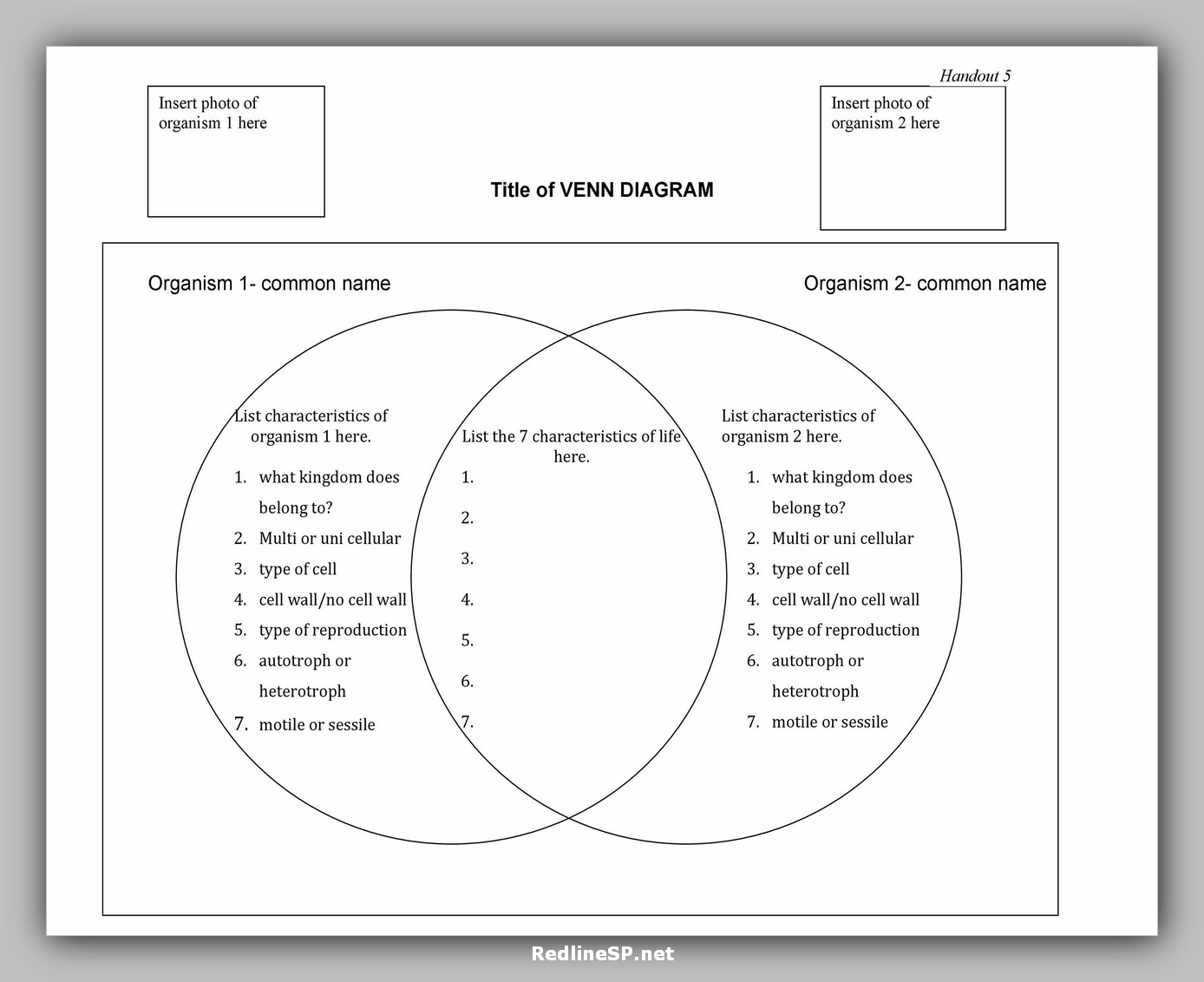 43 Useful Venn Diagram Template RedlineSP