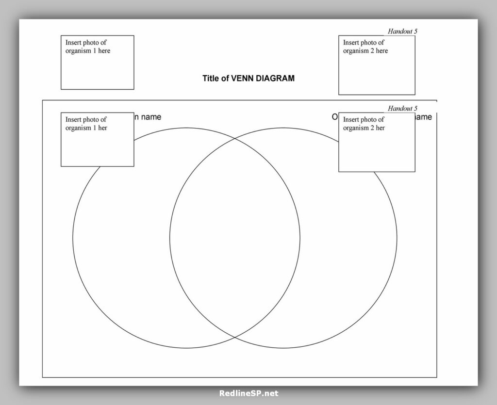 venn diagram template 34