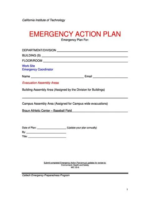 Action Plan Template 15