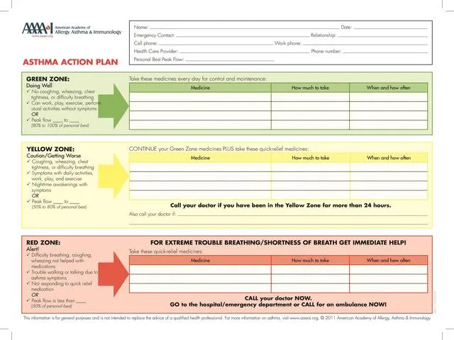 Action Plan Template 20
