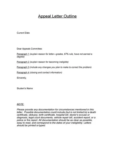 Appeal Letter Template 12