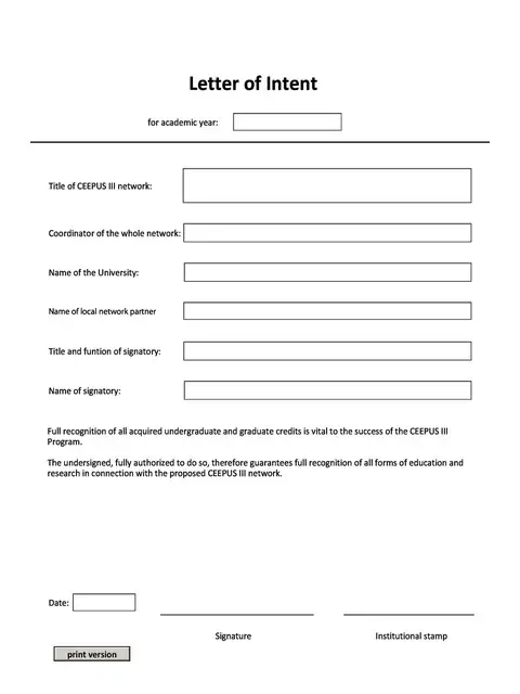 Letter of Intent Template 21