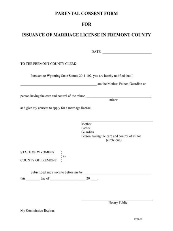 Parental Consent Form Template 24