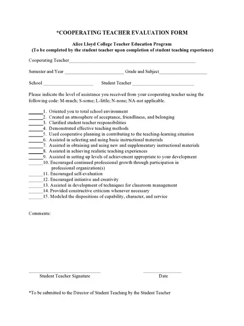 Teacher Evaluation Form Template 14