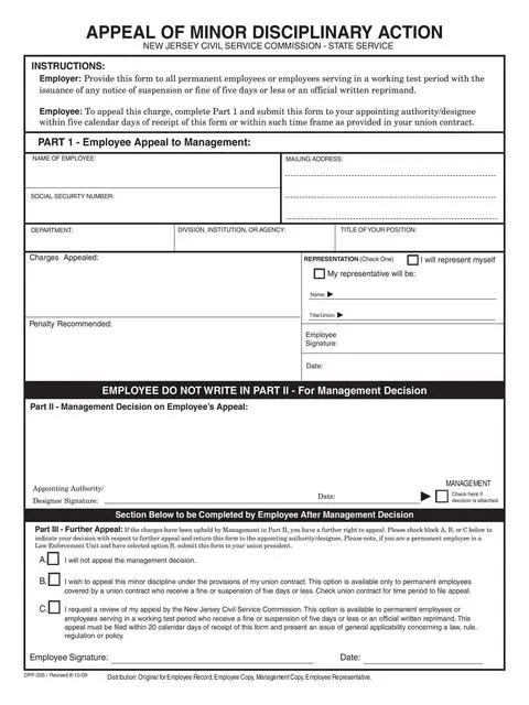 employee write up form 21